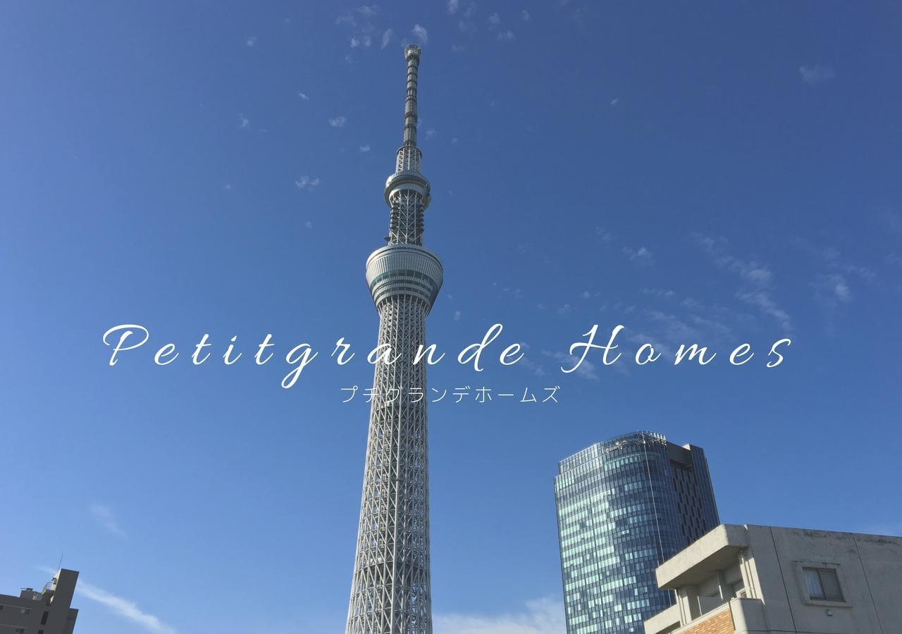 Apartahotel Petit Grande Homes